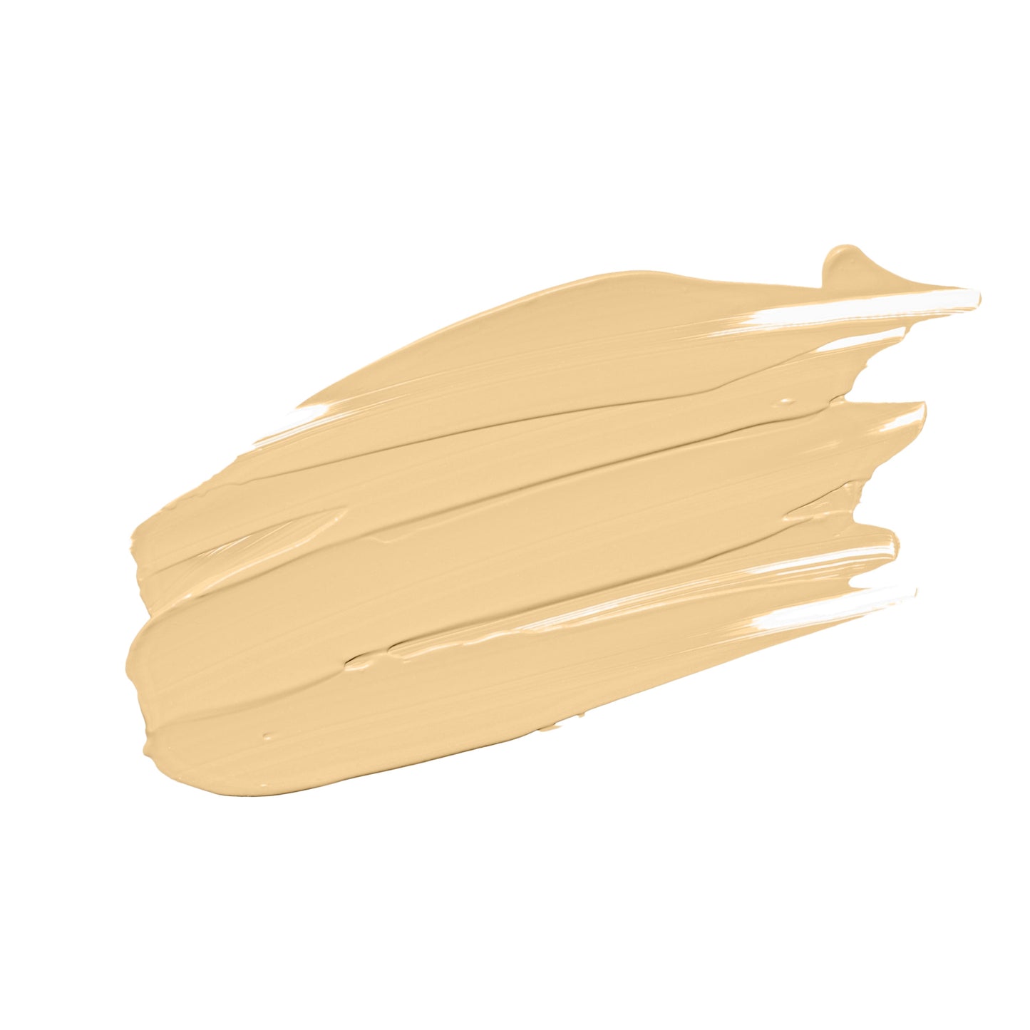Divine Vegan Concealers